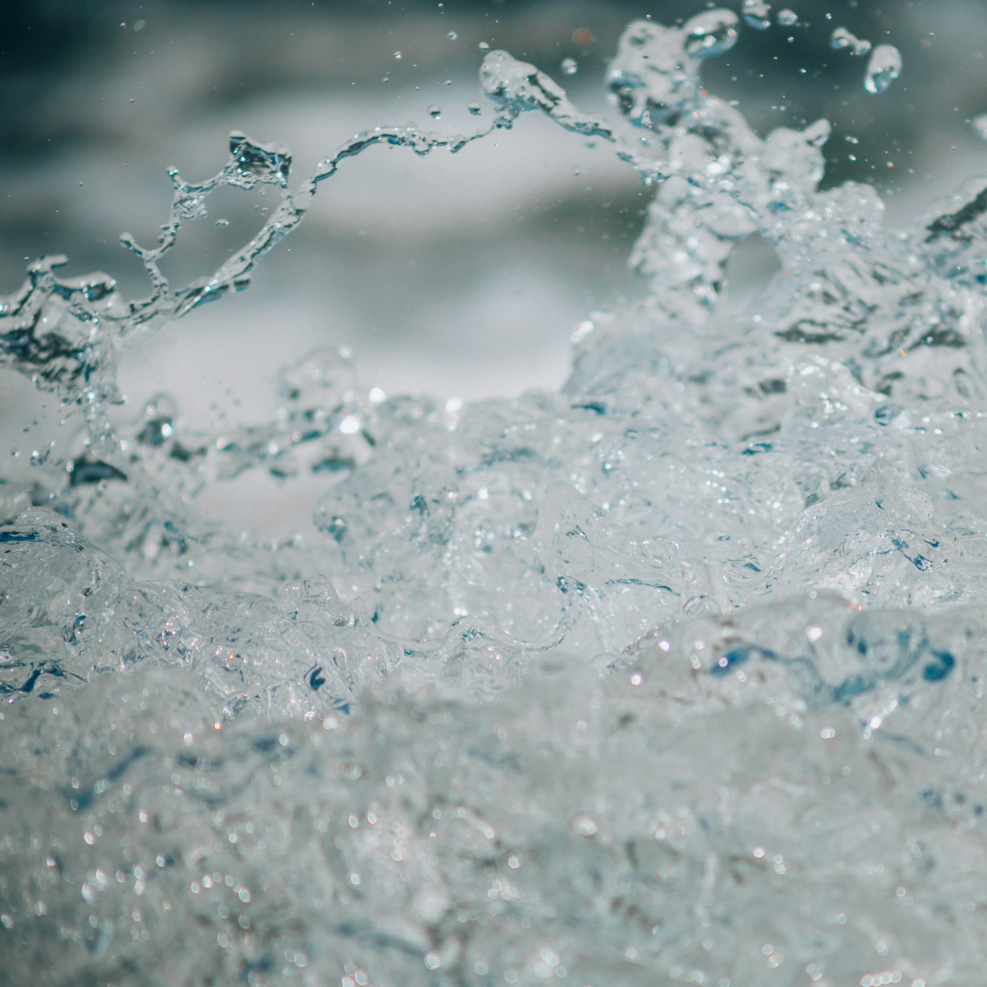 clear water close-up photography